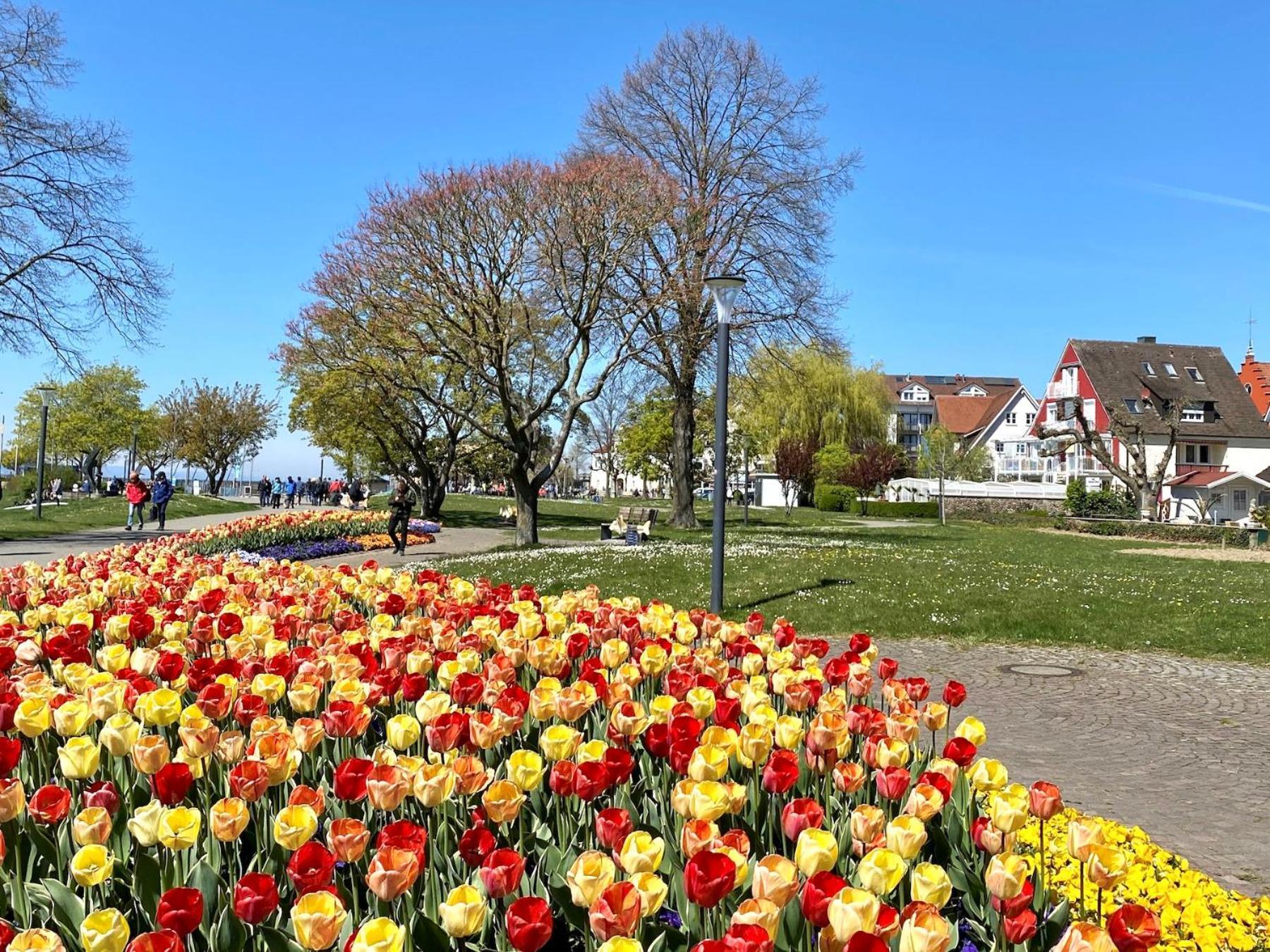 Ferienwohnung Strandgut Langenargen Zewnętrze zdjęcie